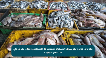 مفاجآت جديدة تهز سوق الأسماك بتحديث 23 أغسطس 2025.. تعرف على الأسعار الجديدة